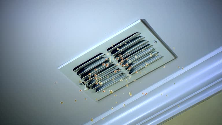 Best HVAC Air Duct Cleaning  in Holiday Island, AR
